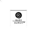 Logo de RADZ HAWAII